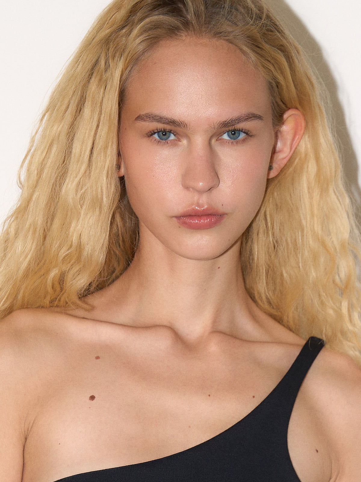 Top Paloma